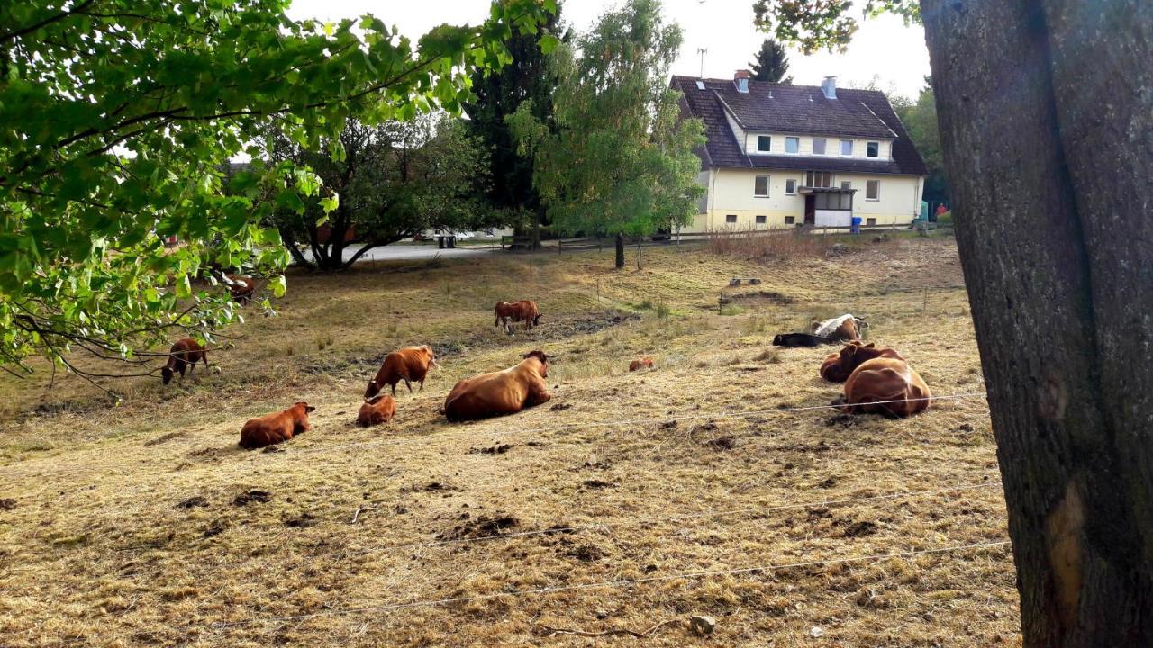 Hotel Garni Am Hochwald 브라운라제 외부 사진